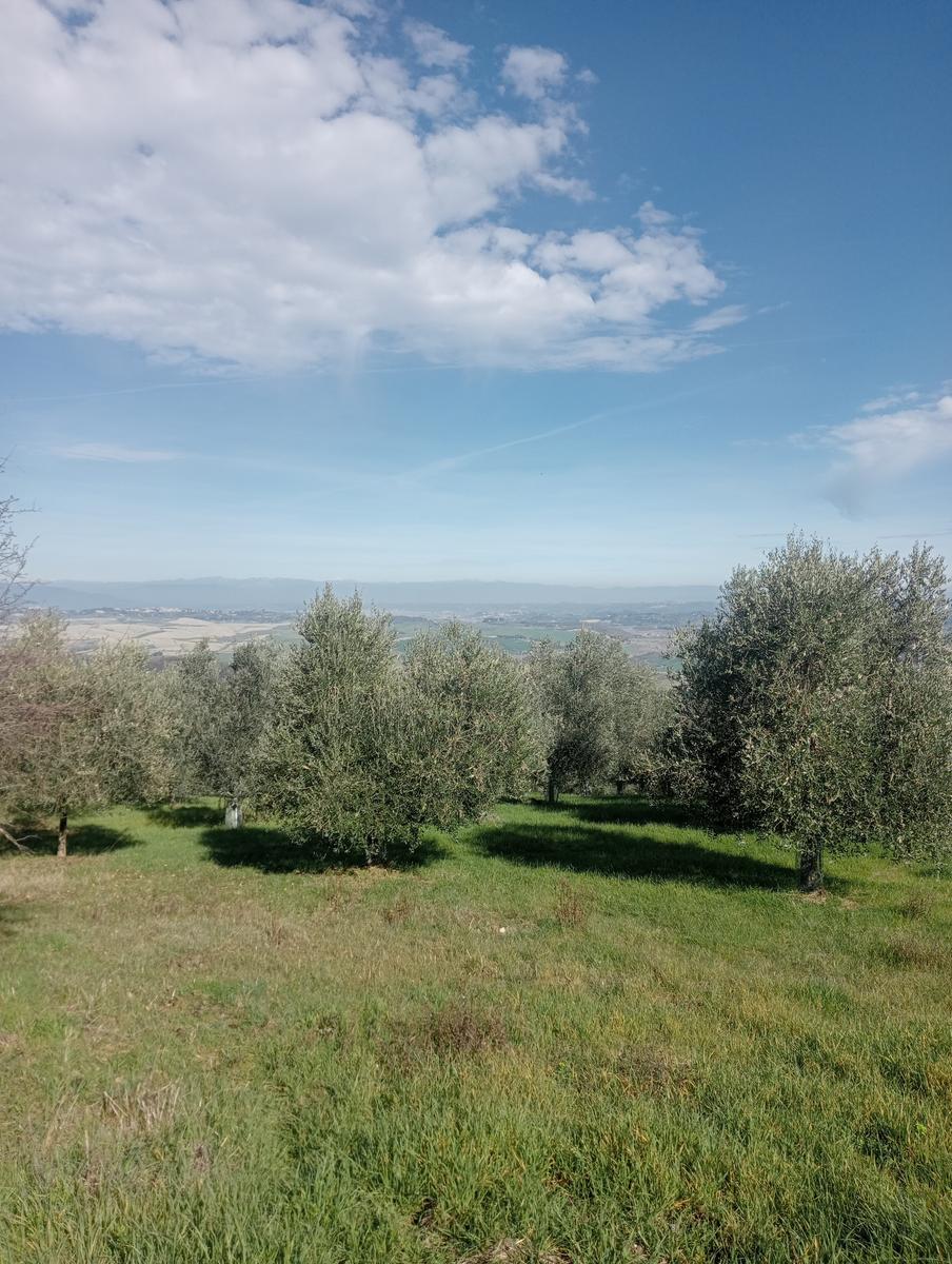 Rocca di Pietracassia - foto 3