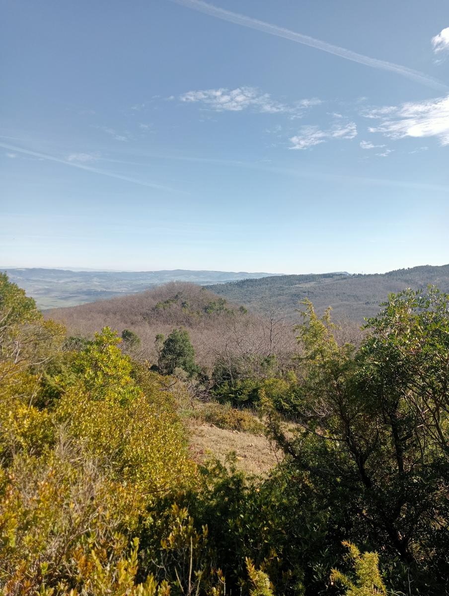 Rocca di Pietracassia - foto 5