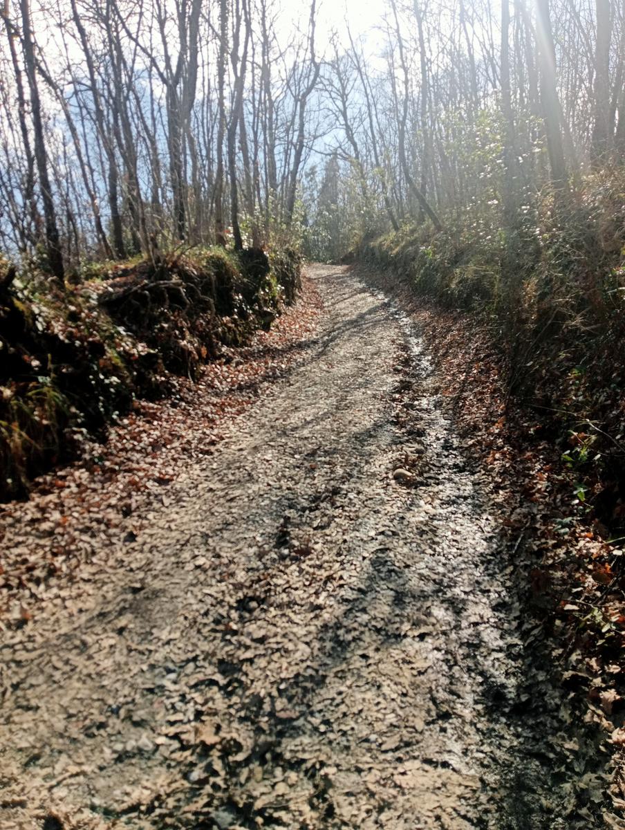 Rocca di Pietracassia - foto 8