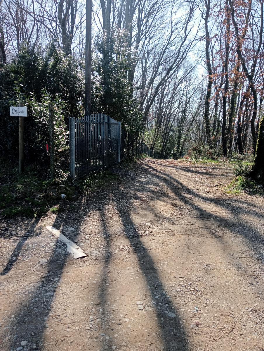 Collesalvetti - foto 6