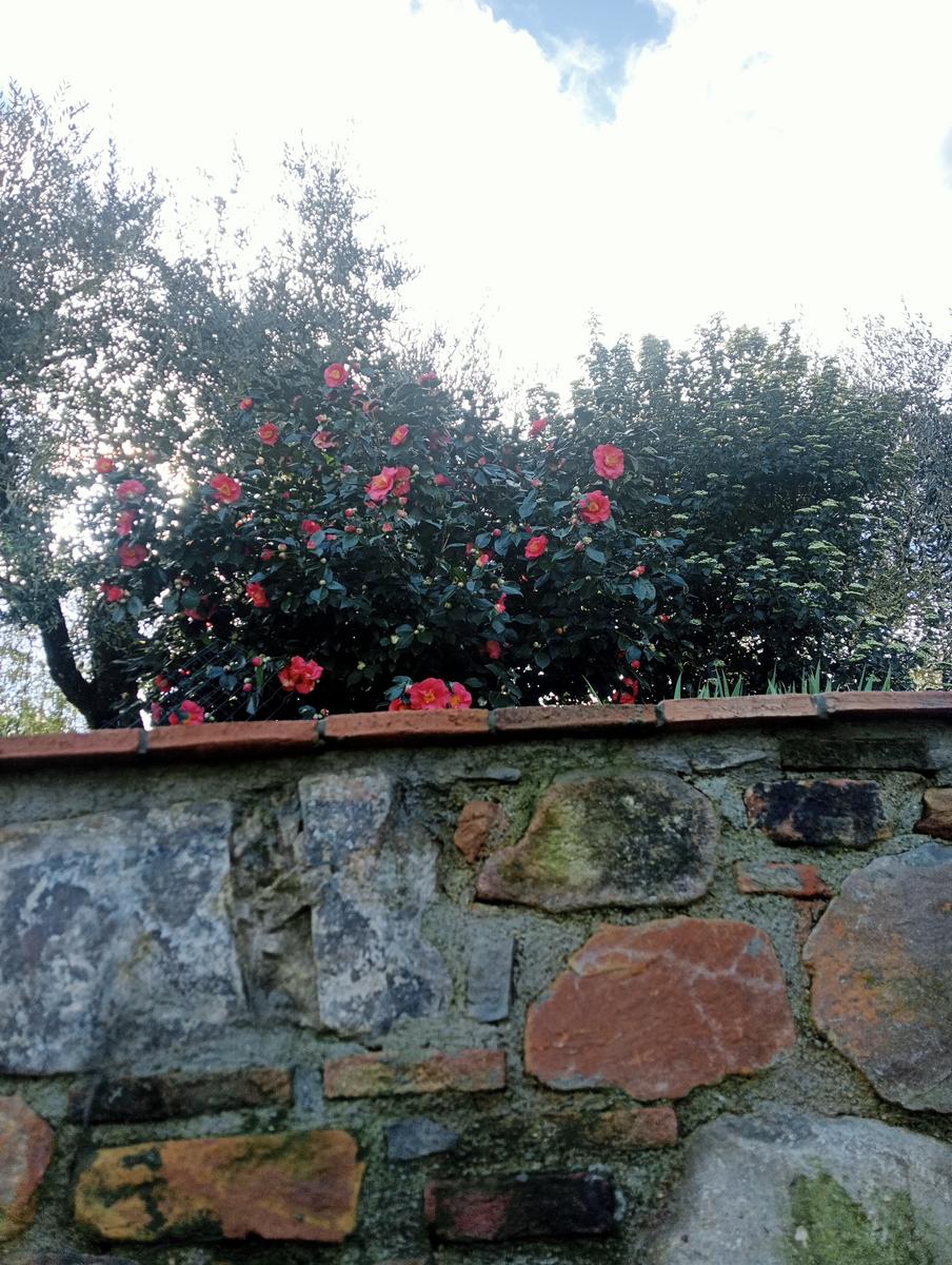 Parole d'oro - San Giusto - Sant'Angrea di compito - Camelieto - Sasso Balloccioro - foto 6