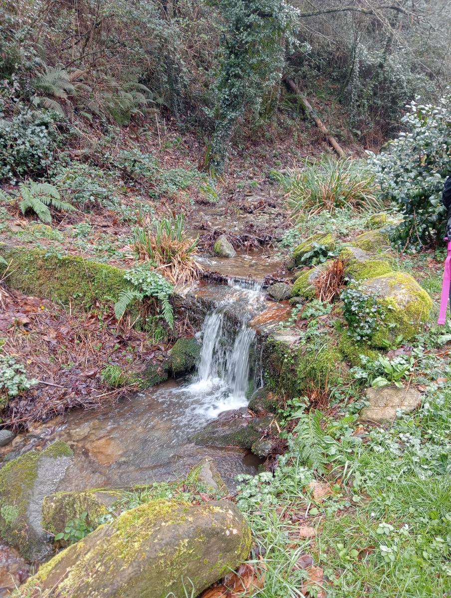 Parole d'oro - San Giusto - Sant'Angrea di compito - Camelieto - Sasso Balloccioro - foto 8