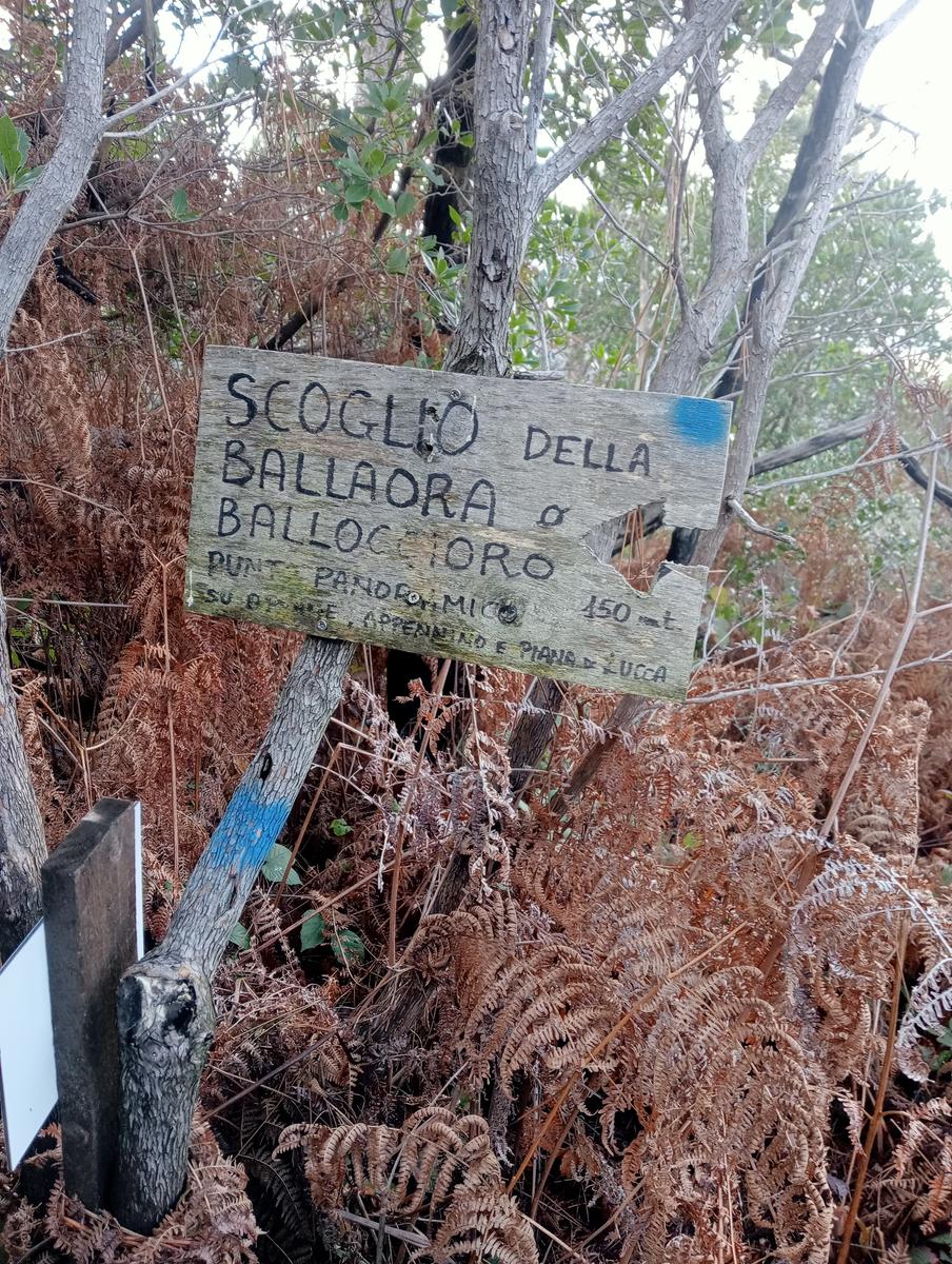 Parole d'oro - San Giusto - Sant'Angrea di compito - Camelieto - Sasso Balloccioro - foto 10