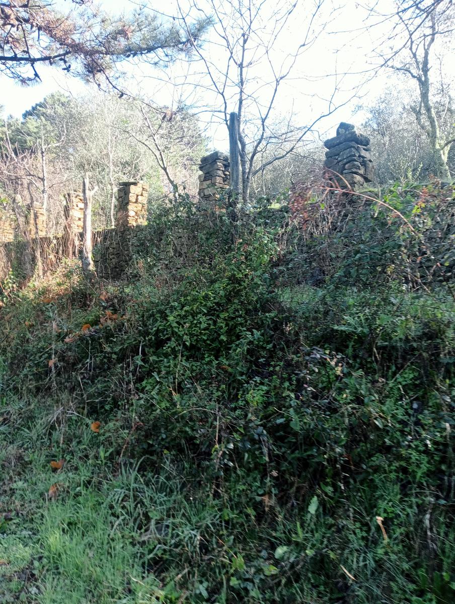 Parole d'oro - San Giusto - Sant'Angrea di compito - Camelieto - Sasso Balloccioro - foto 13