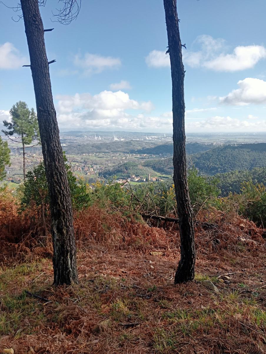 Parole d'oro - San Giusto - Sant'Angrea di compito - Camelieto - Sasso Balloccioro - foto 14