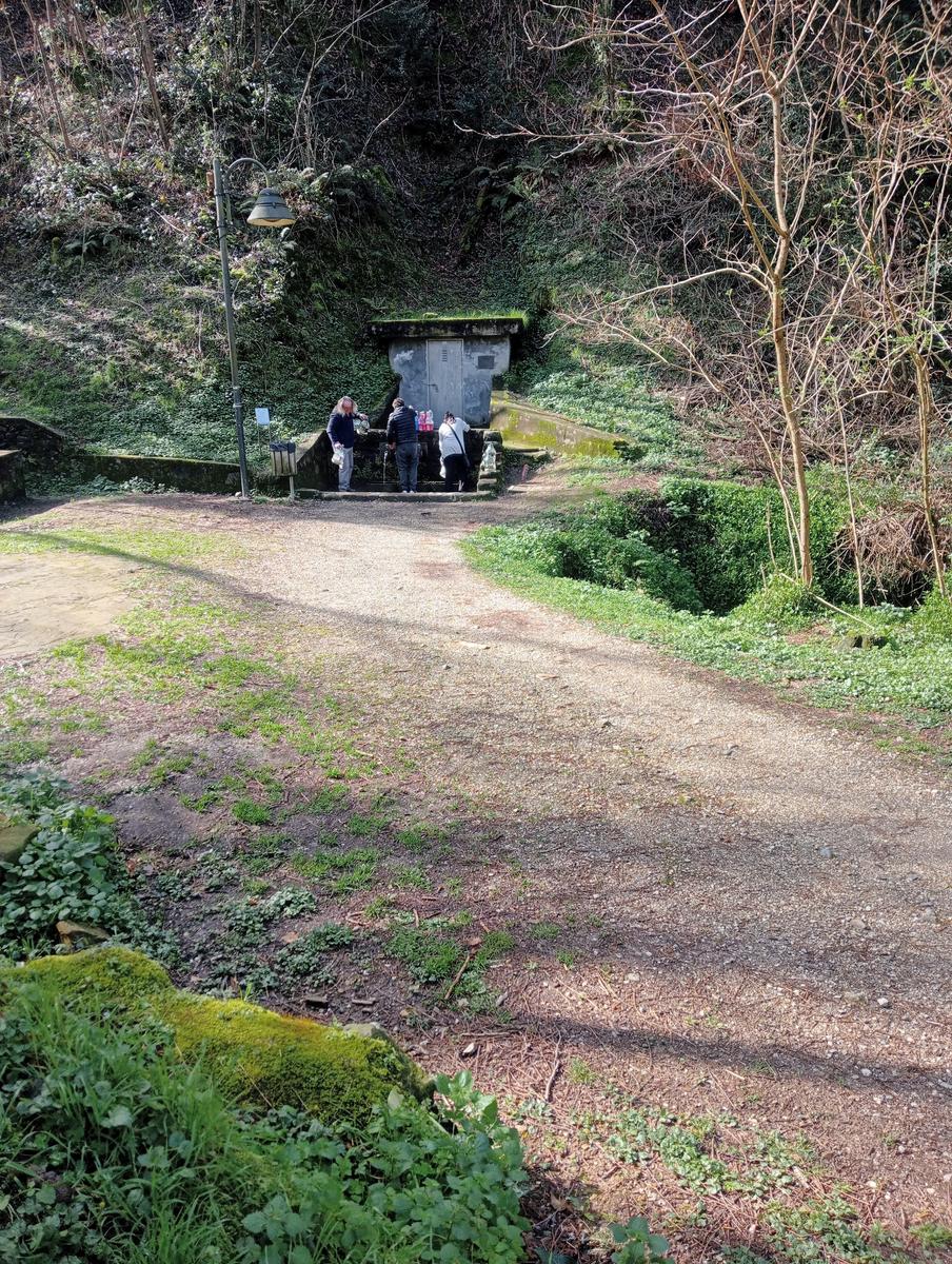 Parole d'oro - San Giusto - Sant'Angrea di compito - Camelieto - Sasso Balloccioro - foto 17