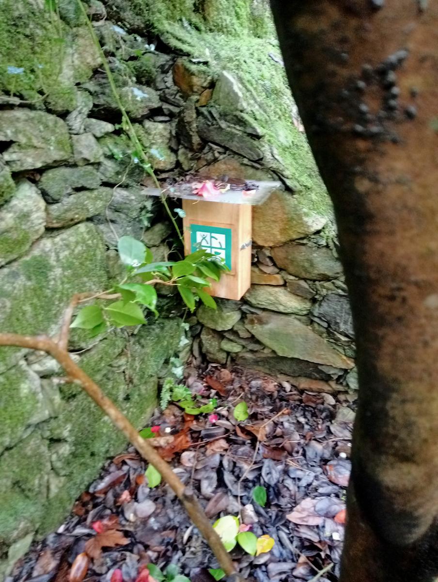 Parole d'oro - San Giusto - Sant'Angrea di compito - Camelieto - Sasso Balloccioro - foto 20