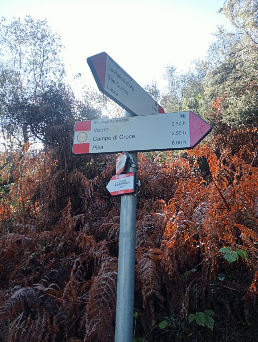 Parole d'oro - San Giusto - Sant'Angrea di compito - Camelieto - Sasso Balloccioro - foto 29