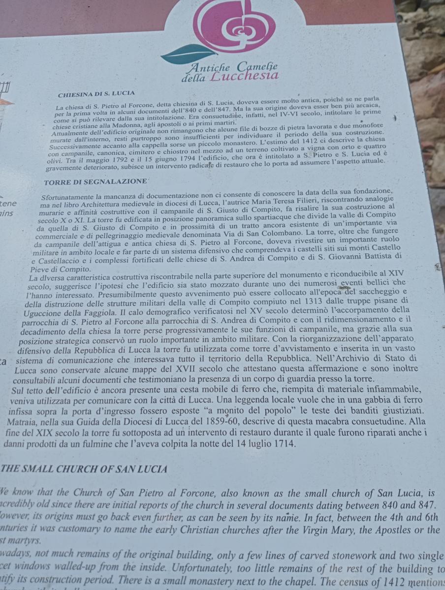 Parole d'oro - San Giusto - Sant'Angrea di compito - Camelieto - Sasso Balloccioro - foto 31