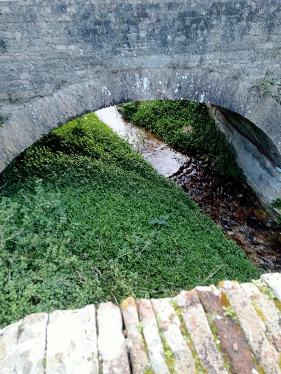 Parole d'oro - San Giusto - Sant'Angrea di compito - Camelieto - Sasso Balloccioro - foto 35