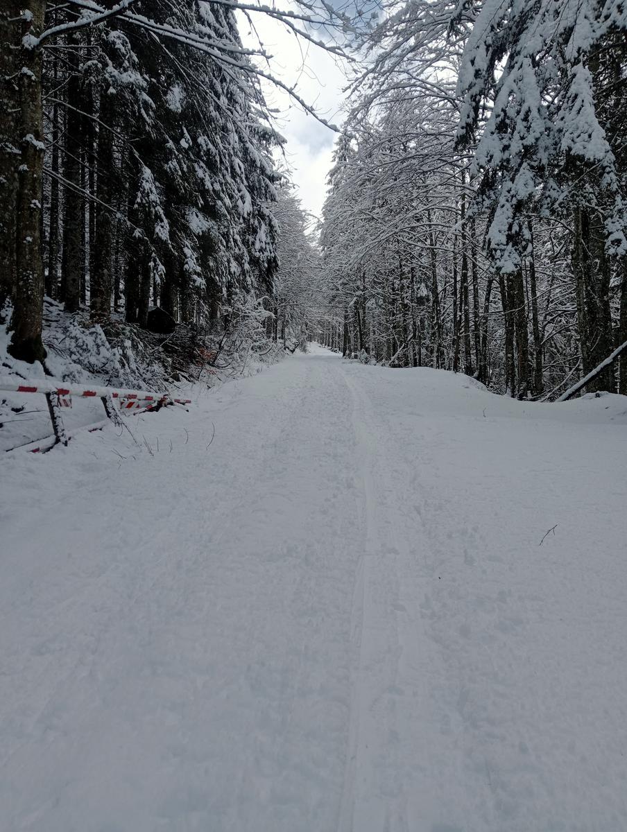 Casetta dei pastori e Lago Nero da Fontana Vaccaia - foto 7