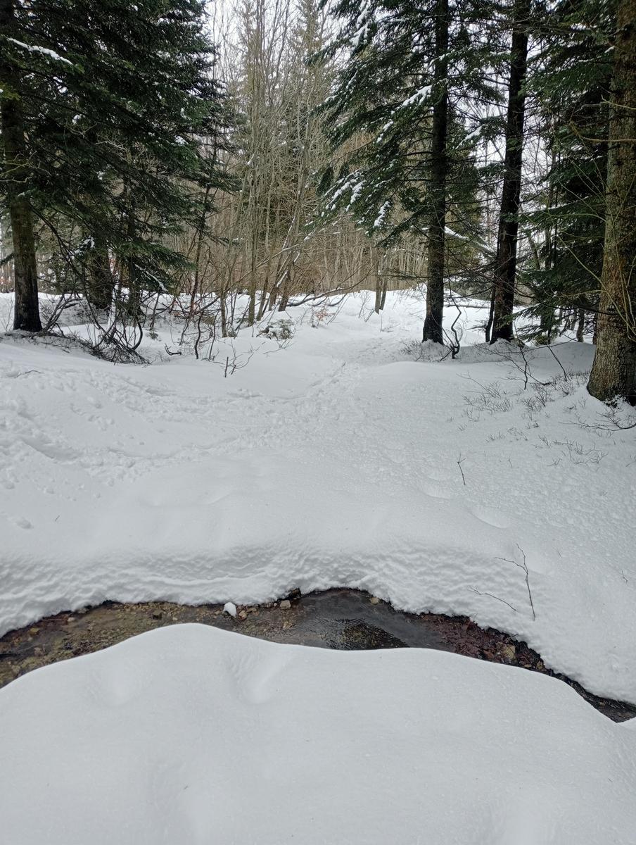 Casetta dei pastori e Lago Nero da Fontana Vaccaia - foto 12