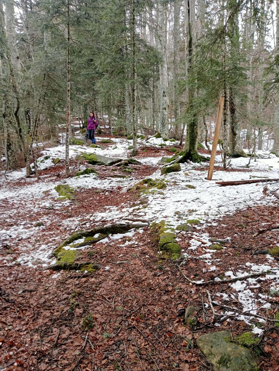 Casetta dei pastori e Lago Nero da Fontana Vaccaia - foto 21