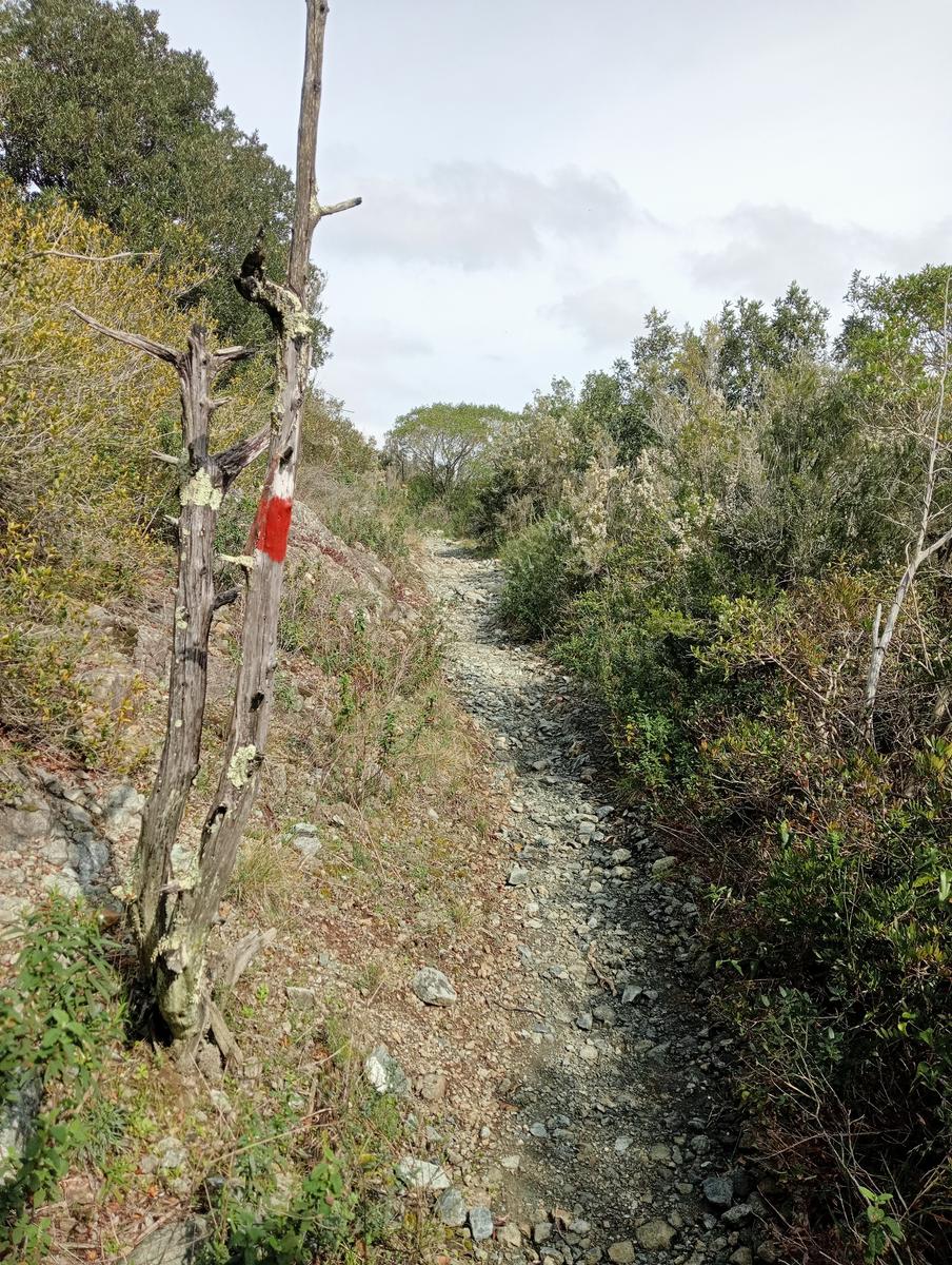 Via Mauro Gordato ~ Monte rotondo ~ Cascate - foto 10