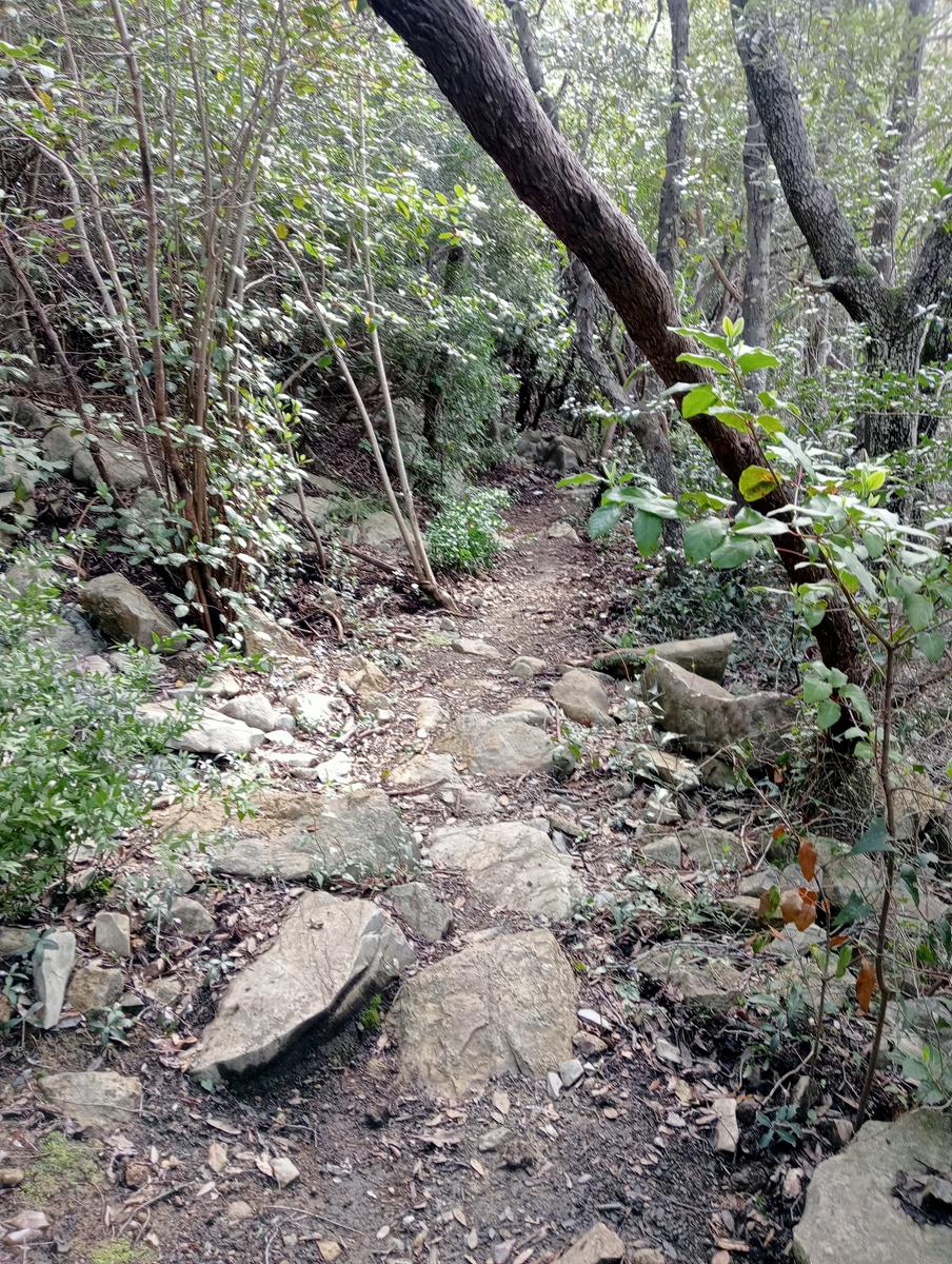 Via Mauro Gordato ~ Monte rotondo ~ Cascate - foto 15