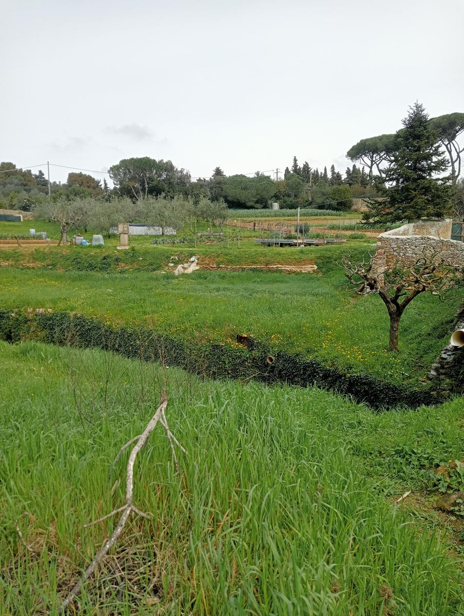 Via Mauro Gordato ~ Monte rotondo ~ Cascate - foto 18