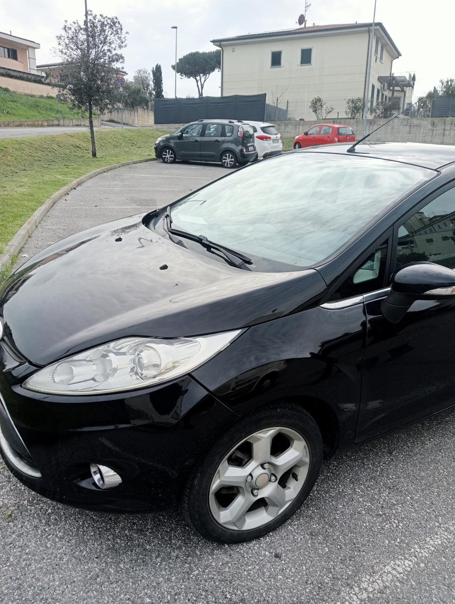 Collesalvetti - foto 2