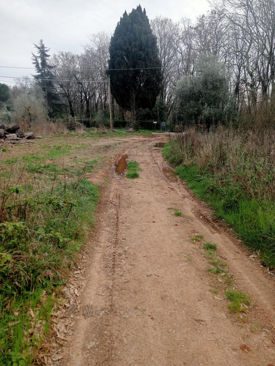 Collesalvetti - foto 4