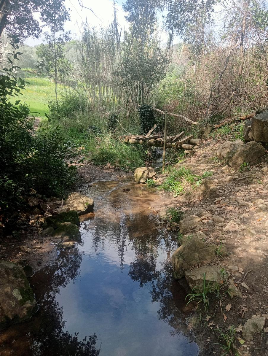 Suvereto ~ Prata ~ Belvedere - foto 3