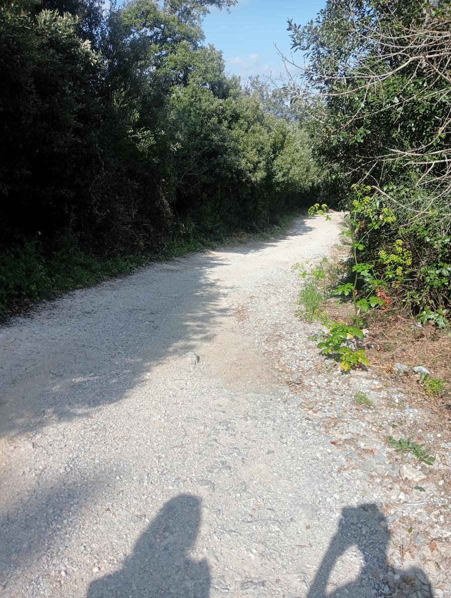 Suvereto ~ Prata ~ Belvedere - foto 4