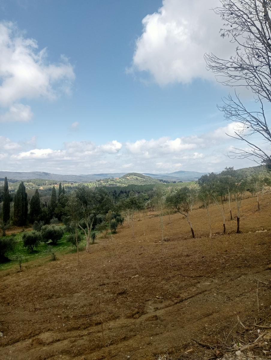 Suvereto ~ Prata ~ Belvedere - foto 9