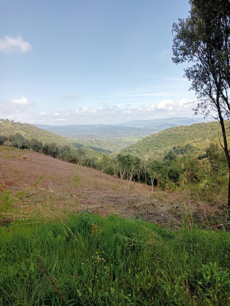 Suvereto ~ Prata ~ Belvedere - foto 10