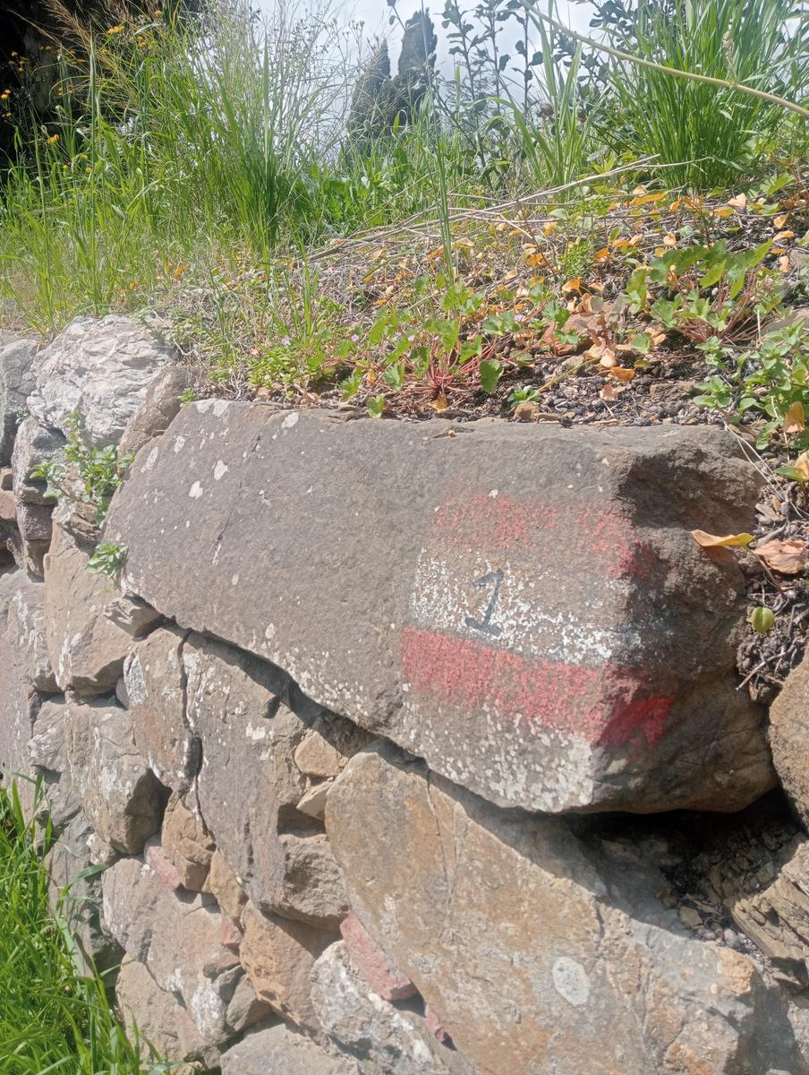 Suvereto ~ Prata ~ Belvedere - foto 14