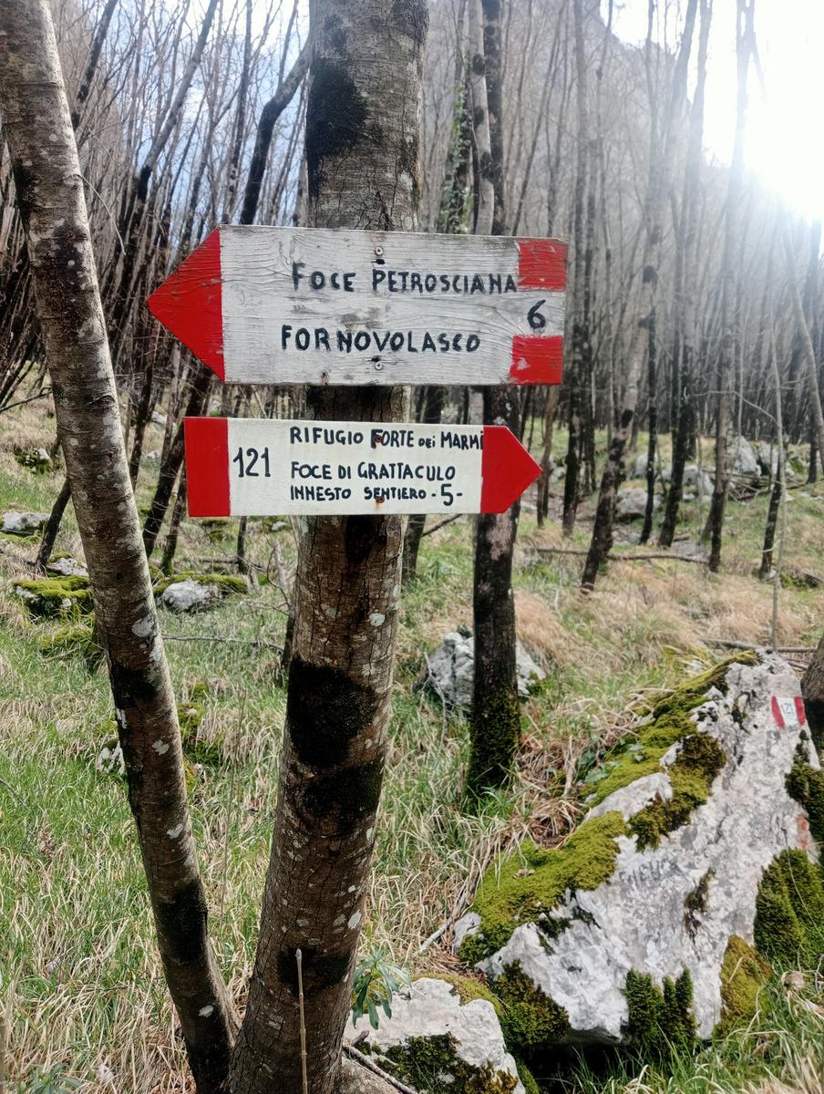 Monte Matanna, Monte Nona e Rifugio Forte dei Marmi da Pomezzana - foto 4