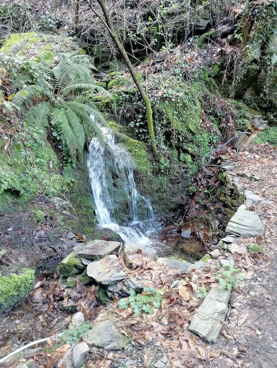 Monte Matanna, Monte Nona e Rifugio Forte dei Marmi da Pomezzana - foto 7