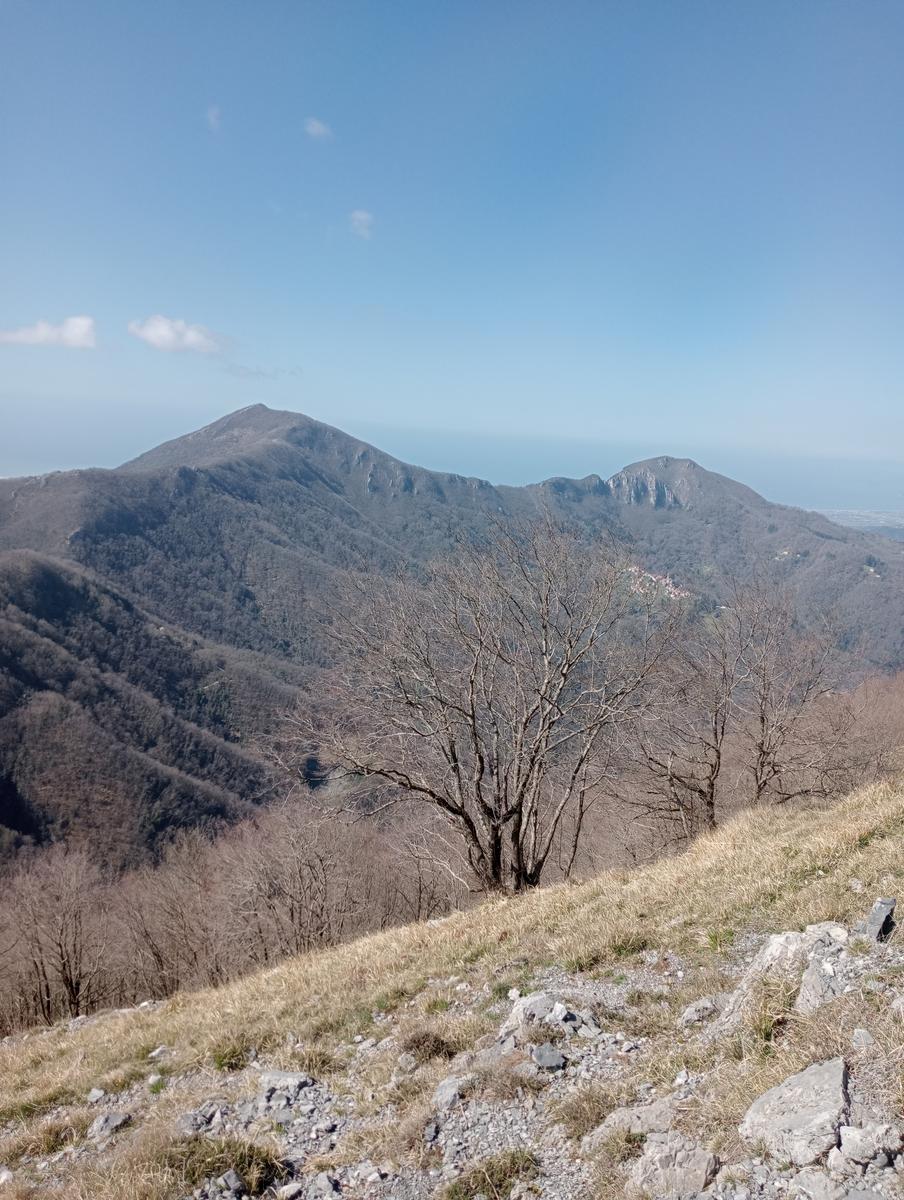 Monte Matanna, Monte Nona e Rifugio Forte dei Marmi da Pomezzana - foto 9