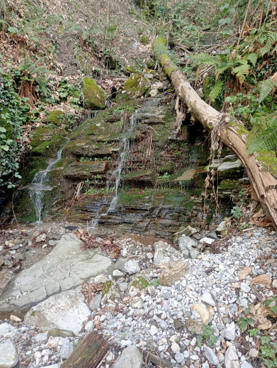 Monte Matanna, Monte Nona e Rifugio Forte dei Marmi da Pomezzana - foto 15
