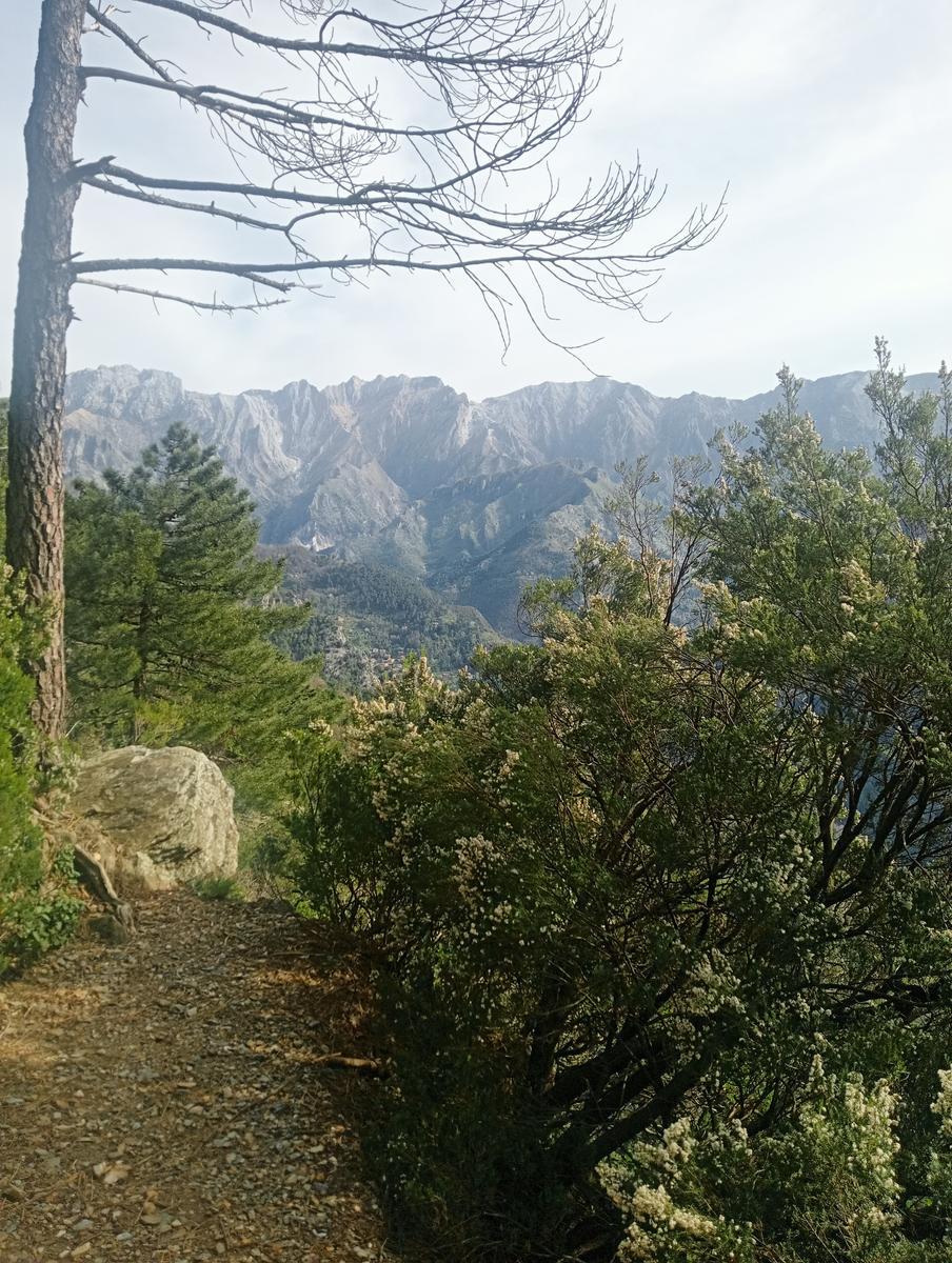 Bargana - Monte Brugiana - La Rocchetta - Bergiola Maggiore - foto 5