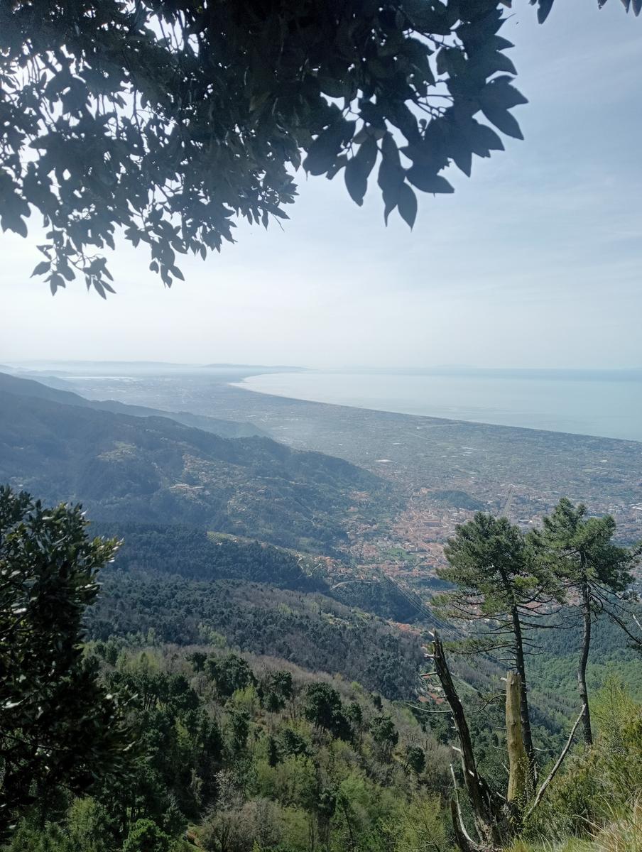 Bargana - Monte Brugiana - La Rocchetta - Bergiola Maggiore - foto 7