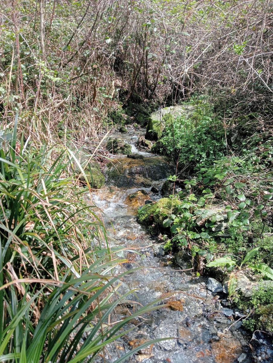Bargana - Monte Brugiana - La Rocchetta - Bergiola Maggiore - foto 10
