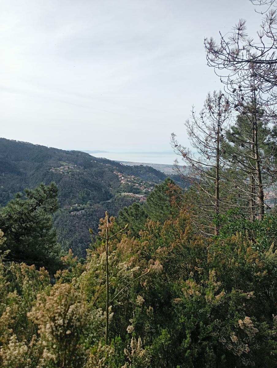 Bargana - Monte Brugiana - La Rocchetta - Bergiola Maggiore - foto 12