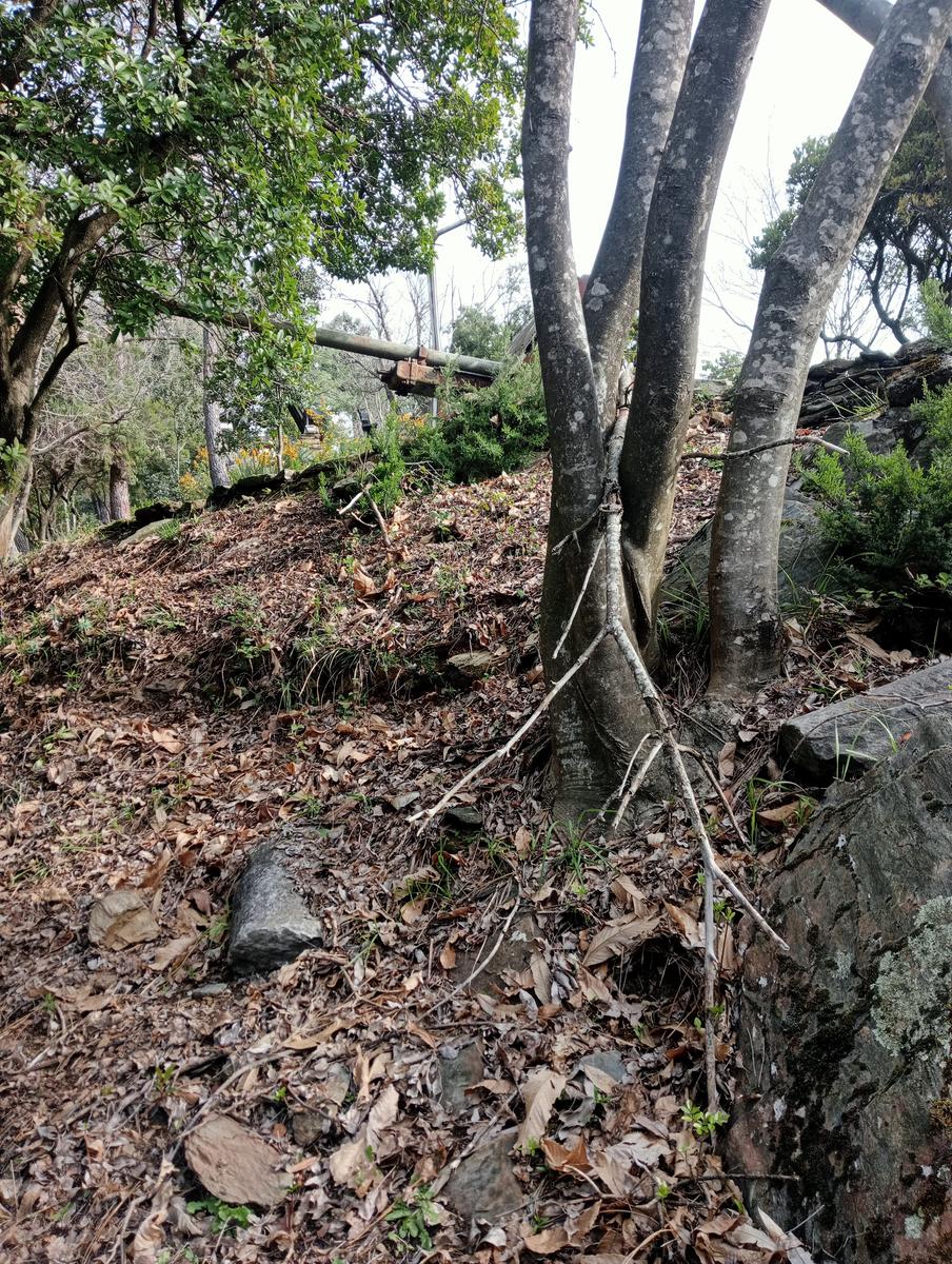 Bargana - Monte Brugiana - La Rocchetta - Bergiola Maggiore - foto 13