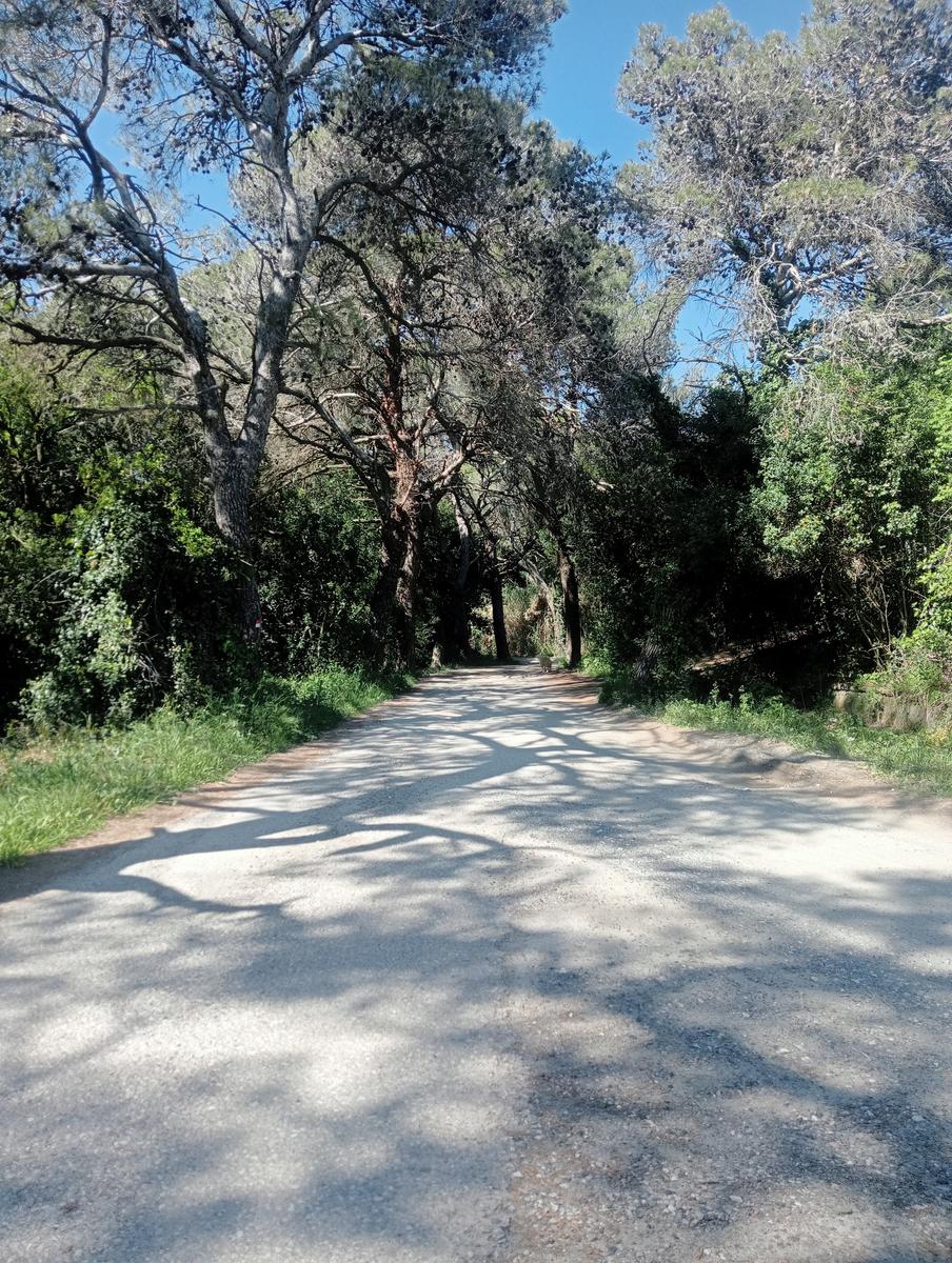 Monte Pelato - Cascata del Mua - Poggio tedesco