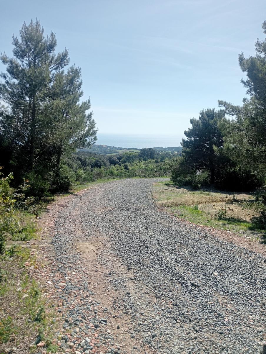 Monte Pelato - Cascata del Mua - Poggio tedesco - foto 2