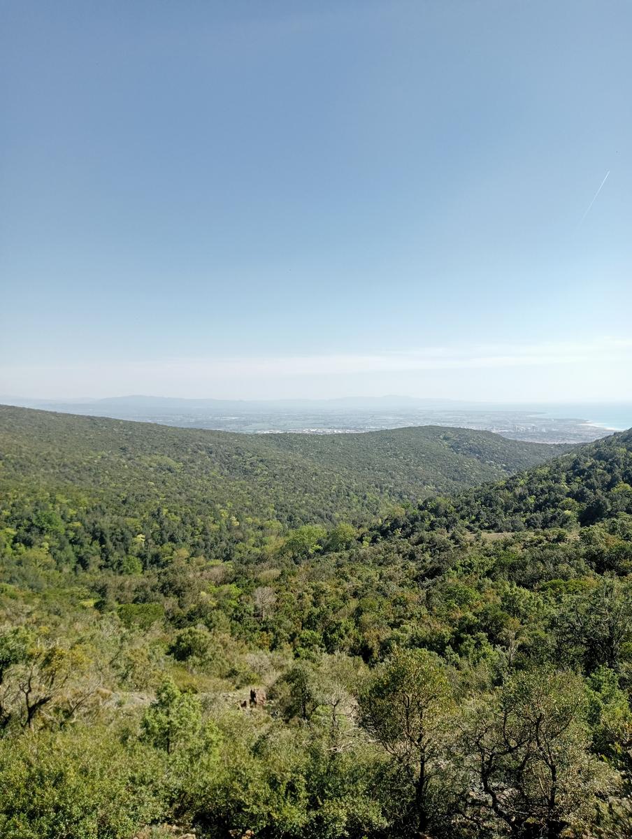 Monte Pelato - Cascata del Mua - Poggio tedesco - foto 3