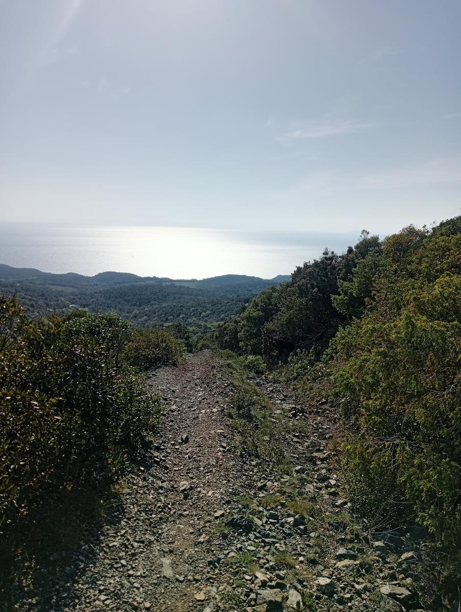 Monte Pelato - Cascata del Mua - Poggio tedesco - foto 4