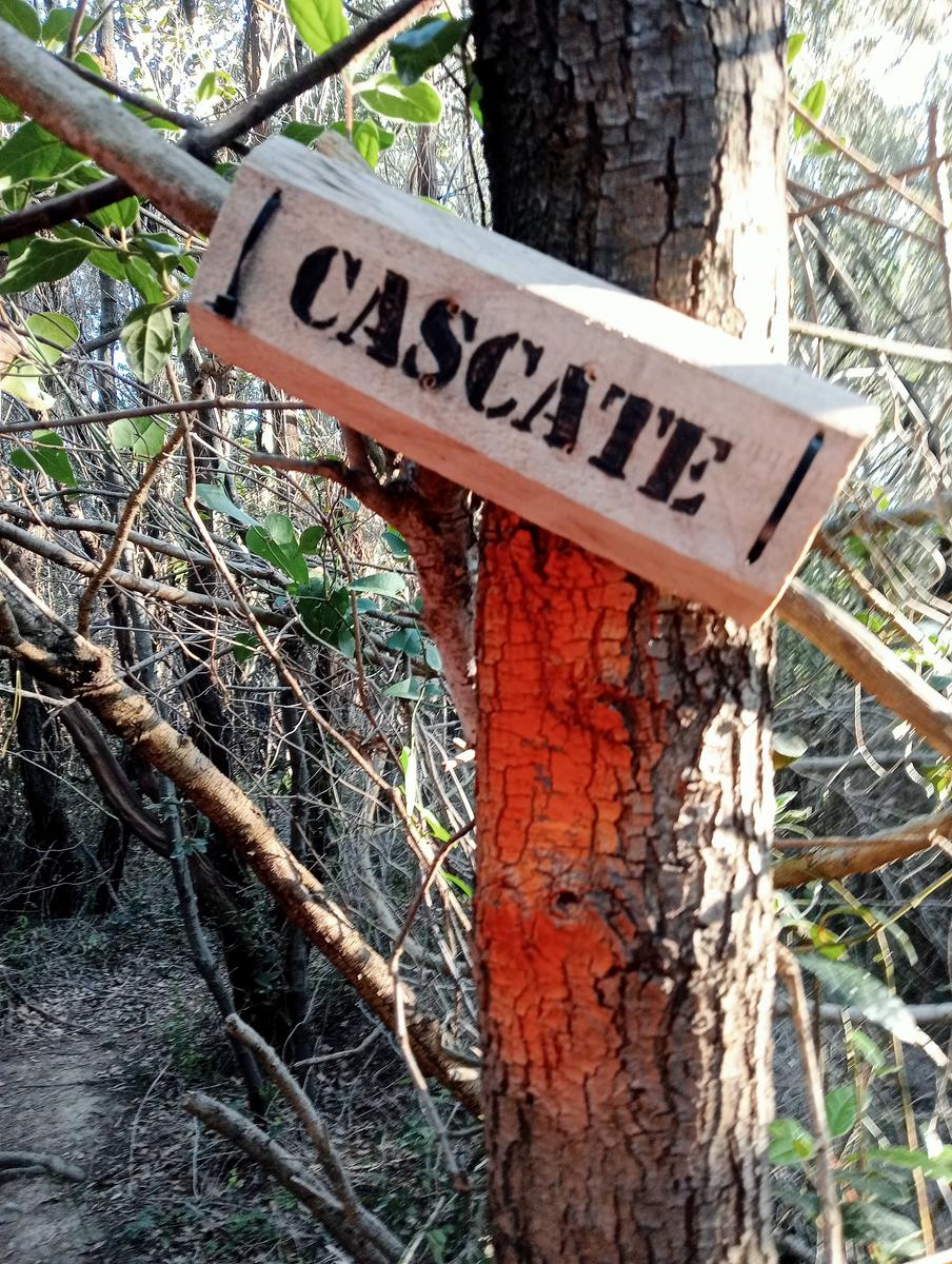 Monte Pelato - Cascata del Mua - Poggio tedesco - foto 6