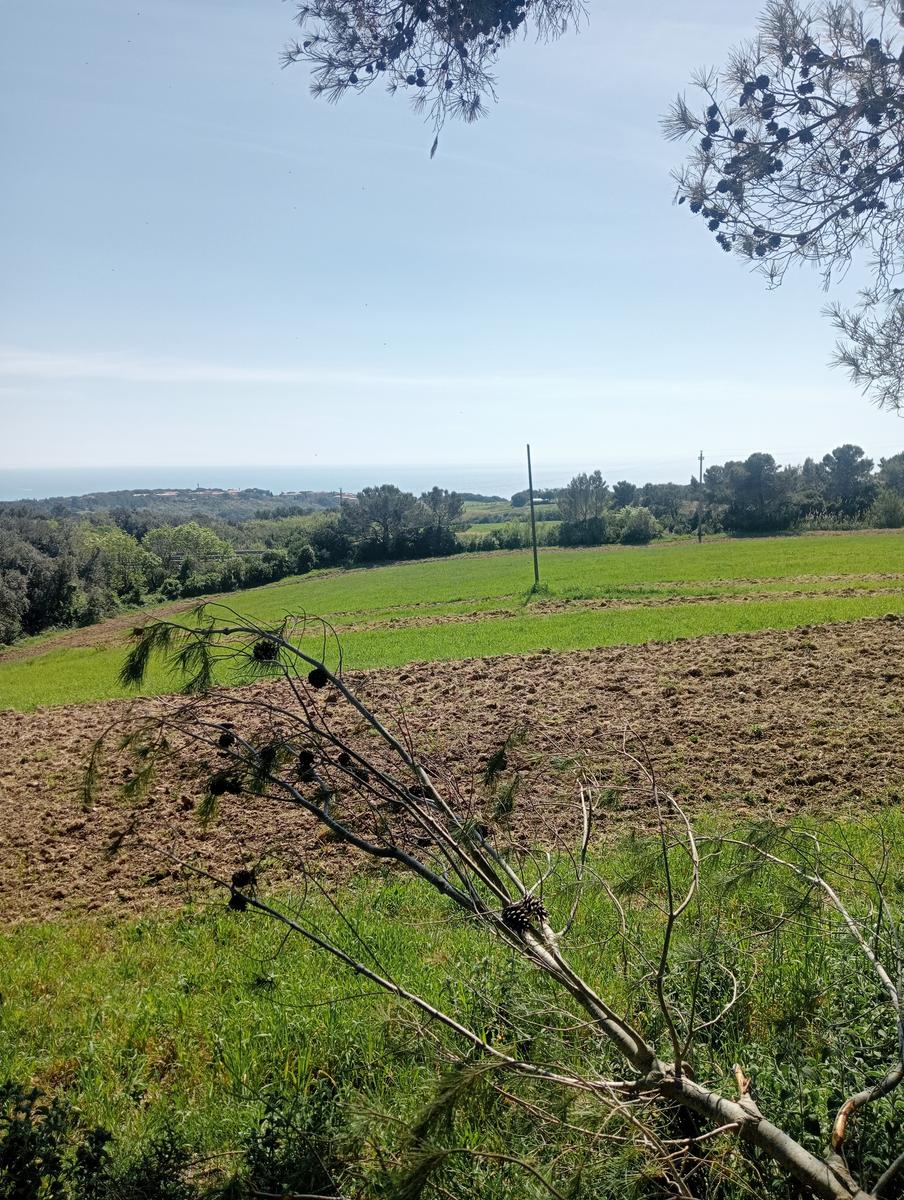 Monte Pelato - Cascata del Mua - Poggio tedesco - foto 7