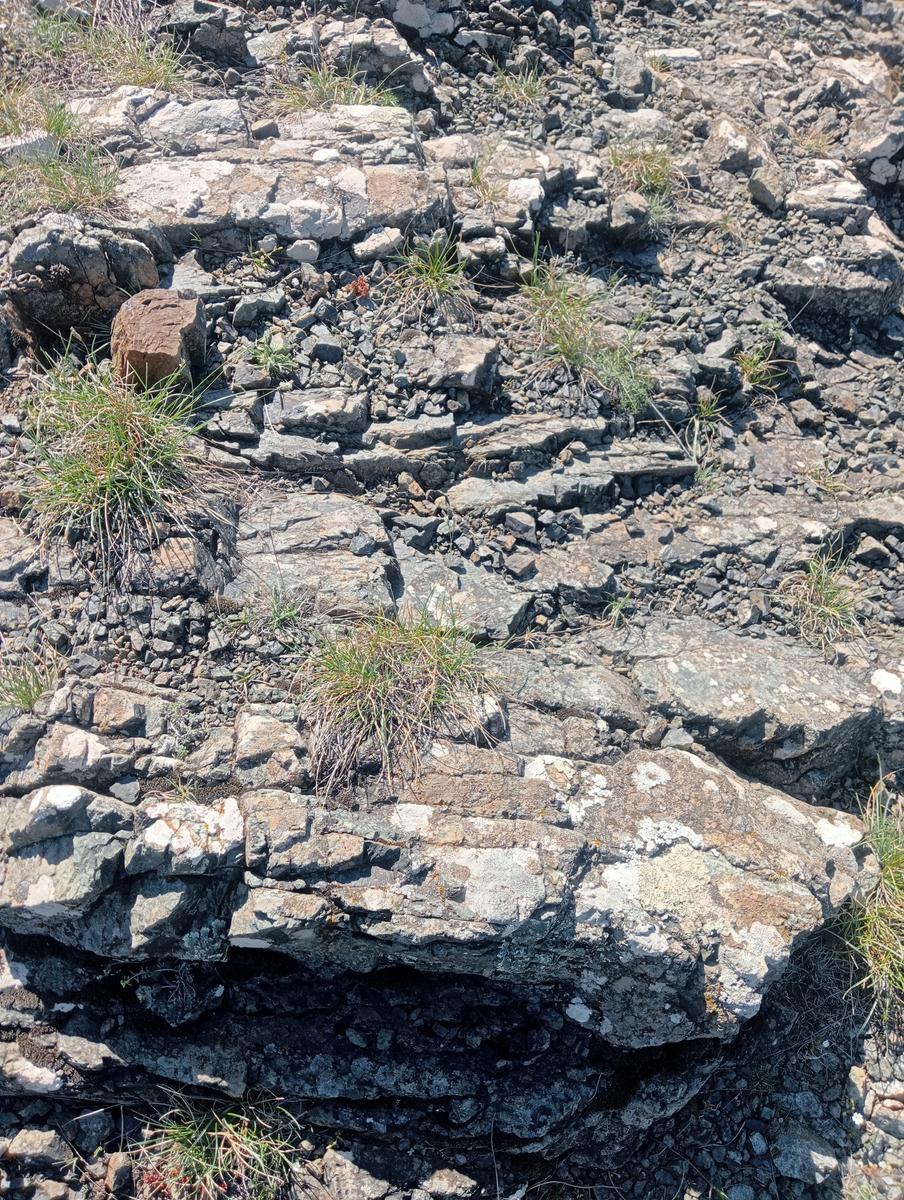 Monte Pelato - Cascata del Mua - Poggio tedesco - foto 8