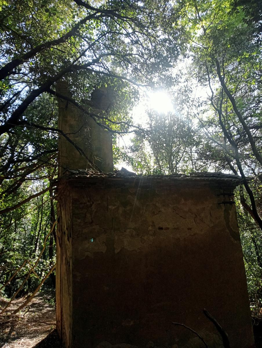 Monte Pelato - Cascata del Mua - Poggio tedesco - foto 10