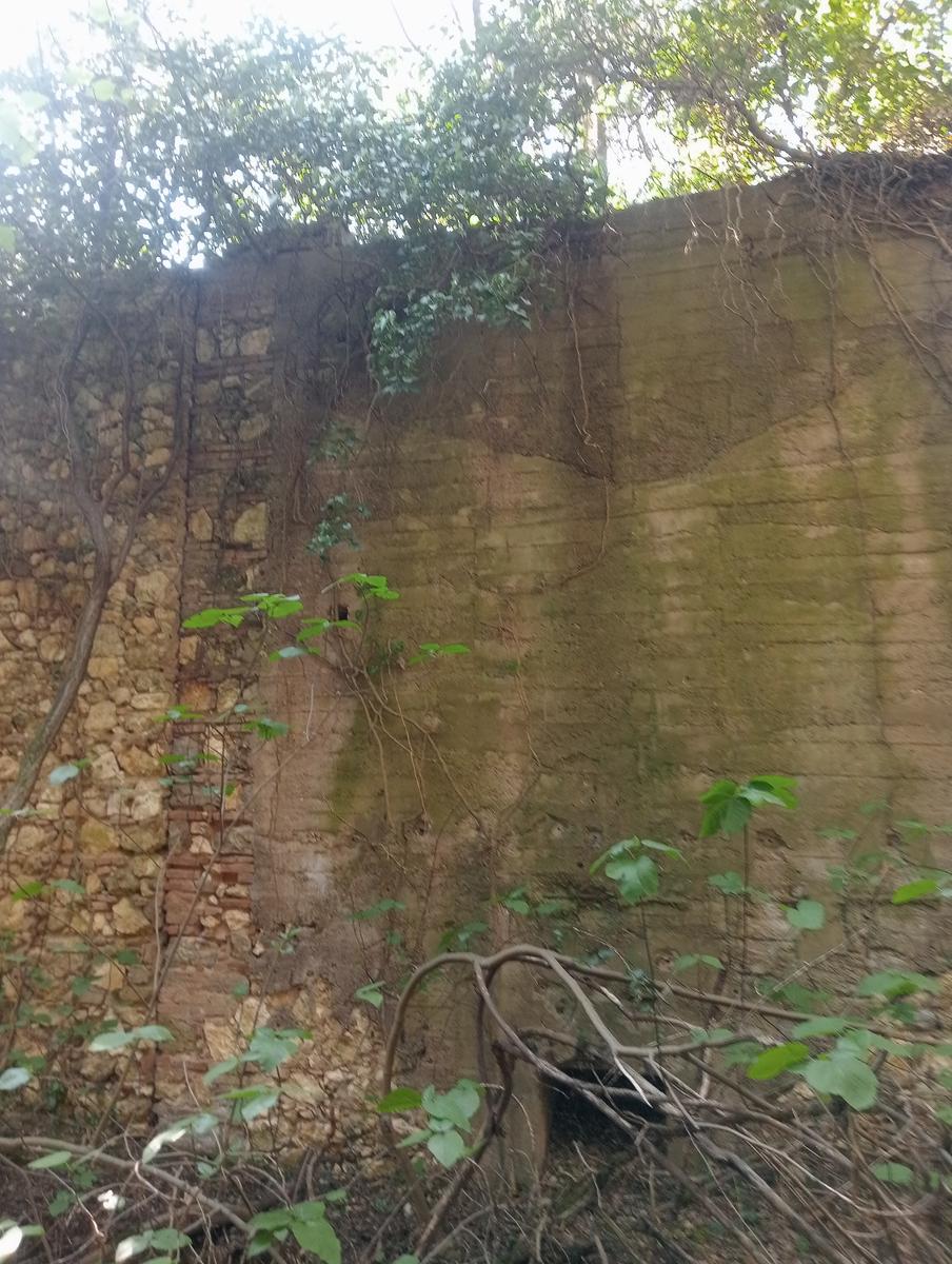 Monte Pelato - Cascata del Mua - Poggio tedesco - foto 11