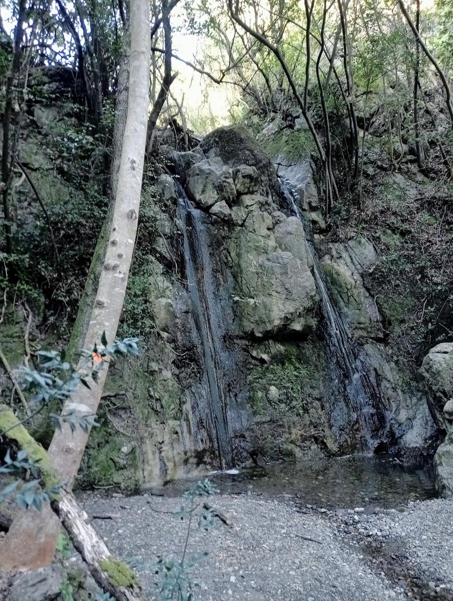 Monte Pelato - Cascata del Mua - Poggio tedesco - foto 12