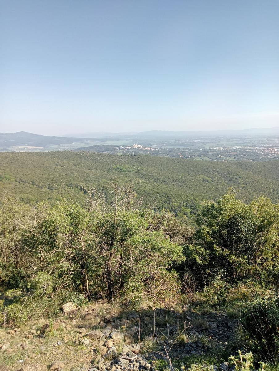 Monte Pelato - Cascata del Mua - Poggio tedesco - foto 13