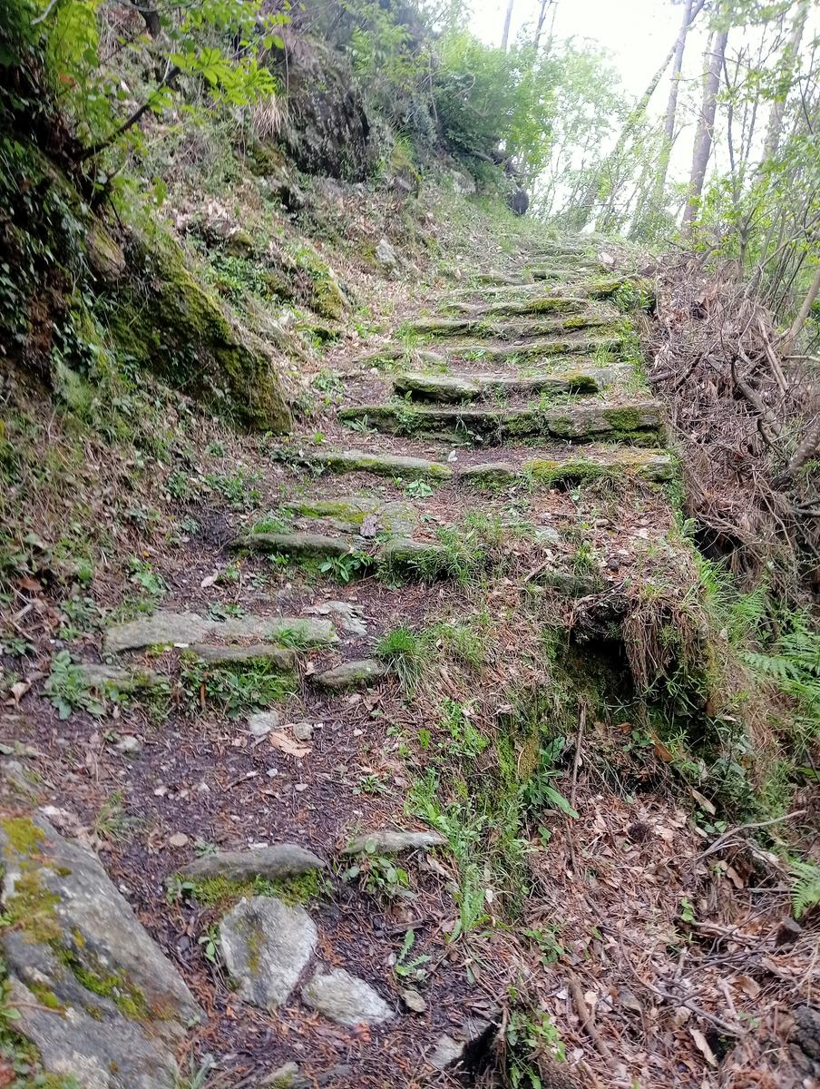 Monte costa, Monte Anchiana e Chiesa di Santa Barbara da Seravezza - foto 2