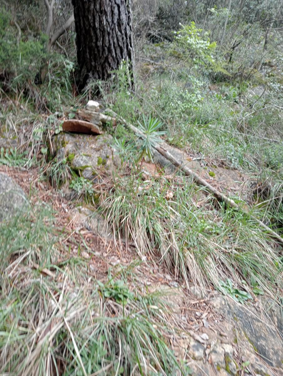 Monte costa, Monte Anchiana e Chiesa di Santa Barbara da Seravezza - foto 5