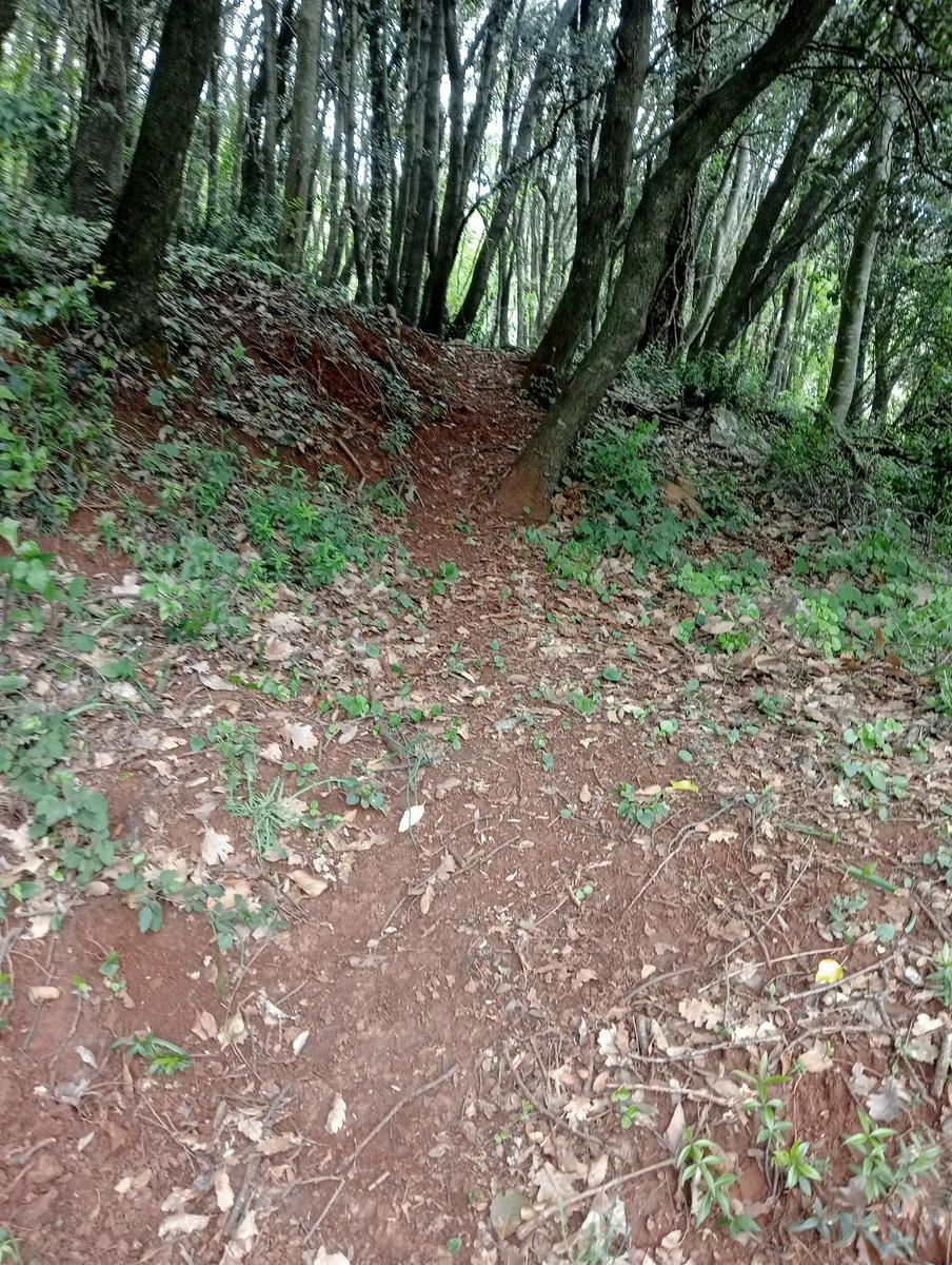 Monte costa, Monte Anchiana e Chiesa di Santa Barbara da Seravezza - foto 9